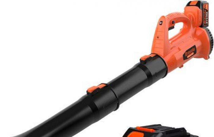 Top 3 Best Leaf Blowers Available on Amazon