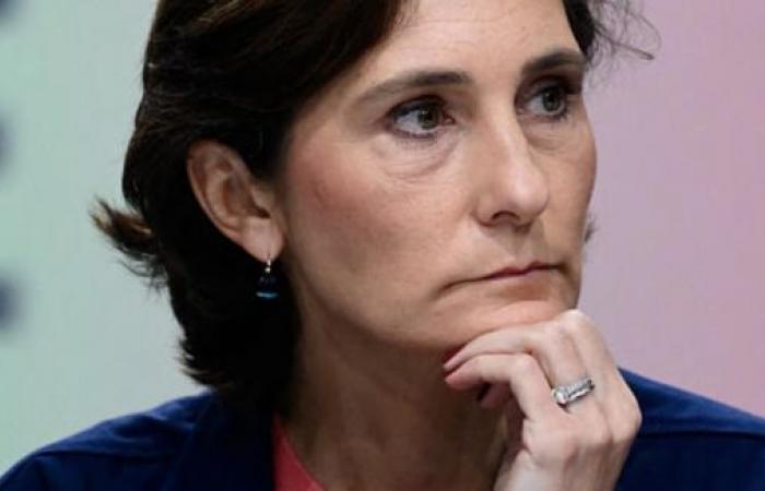 Amélie Oudéa-Castéra “well born, very rich, who teaches lessons”: the minister crushed by a former secretary of state and sports figure