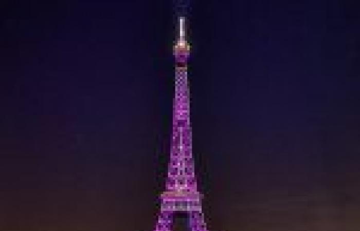 Pink October 2024: the free show on Place Vendôme in Paris on video