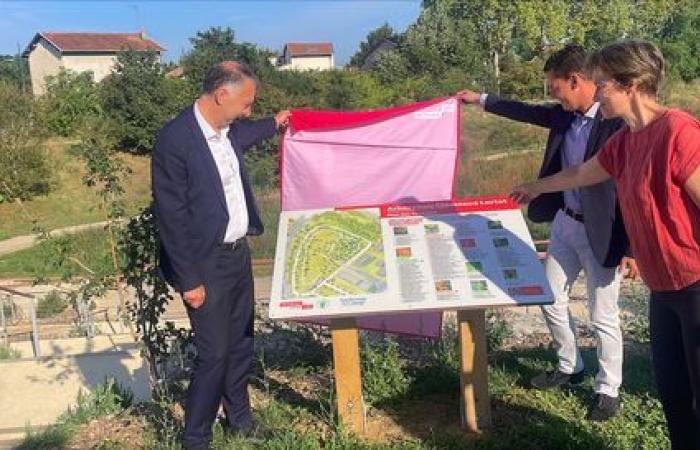 Rillieux-la-Pape: the largest ground-mounted photovoltaic park in the Metropolis launched