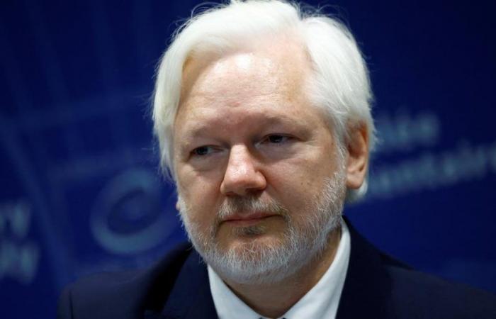 Julian Assange addresses the Council of Europe