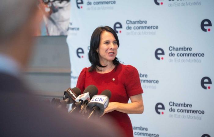 Quebec must show flexibility in applying regulations on flood zones, says Valérie Plante