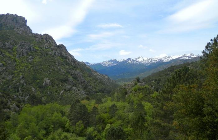 Reopening of the Pietrapola-les-Bains thermal baths in Eastern Corsica