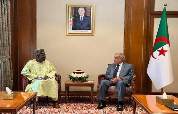 Larbaoui receives Nigerien Oil Minister