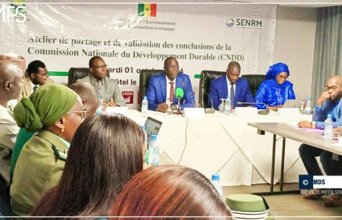 SENEGAL-ENVIRONNEMENT / Daouda Ngom advocates the revitalization of the National Commission for Sustainable Development – Senegalese Press Agency