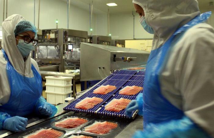 Industrialists “in the red”, breeders threatened… why the price of cold meats will increase by the end of the year