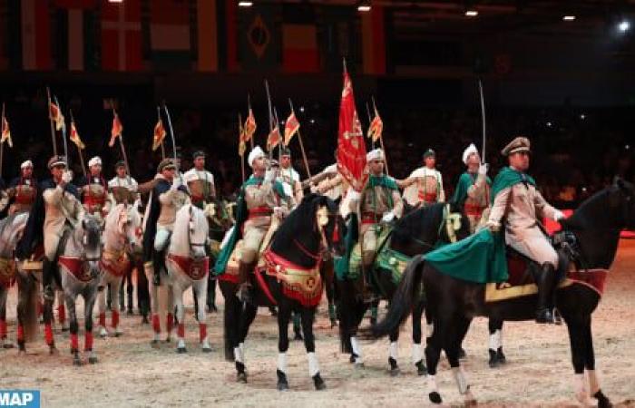 The El Jadida Horse Show, a showcase of the rich national equine heritage