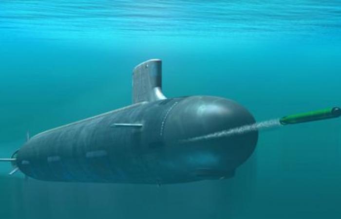 France exports 4 submarines to the Netherlands