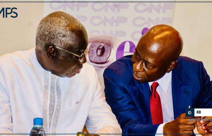 SENEGAL-ENTREPRISES / The CNP and CNES signed a “reunification” agreement – Senegalese press agency