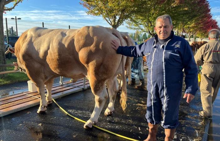 “What I like most is raising my animals, giving birth to my little calves and seeing them grow” confides Christophe, a passionate breeder.