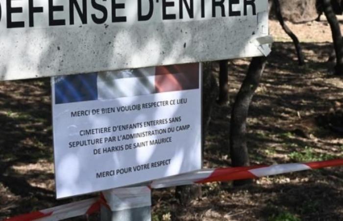 AFP journalist Lucie Peytermann receives the “general François Meyer” prize for her series of investigations and reports on the makeshift cemeteries of harki children in France