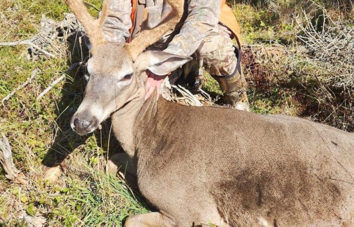 [IMAGES] A dream hunt in Anticosti!