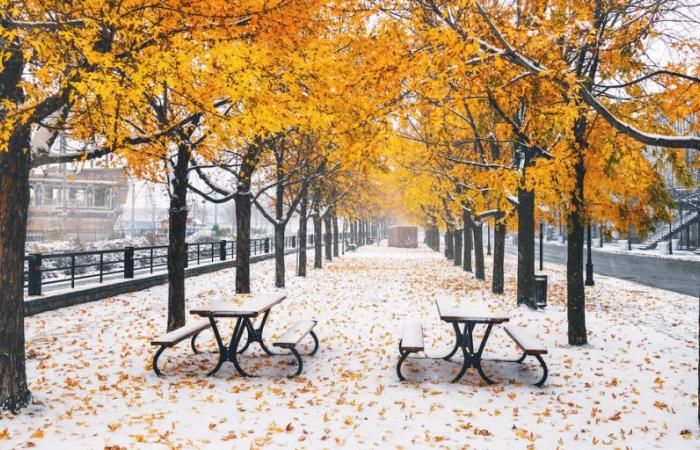 The first snow could fall as early as October in Quebec: here’s what to know