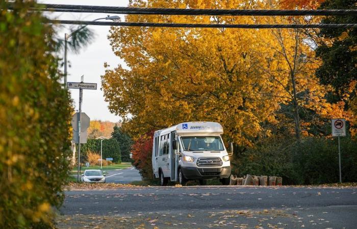 2025, the year of public transportation in Brome-Missisquoi?