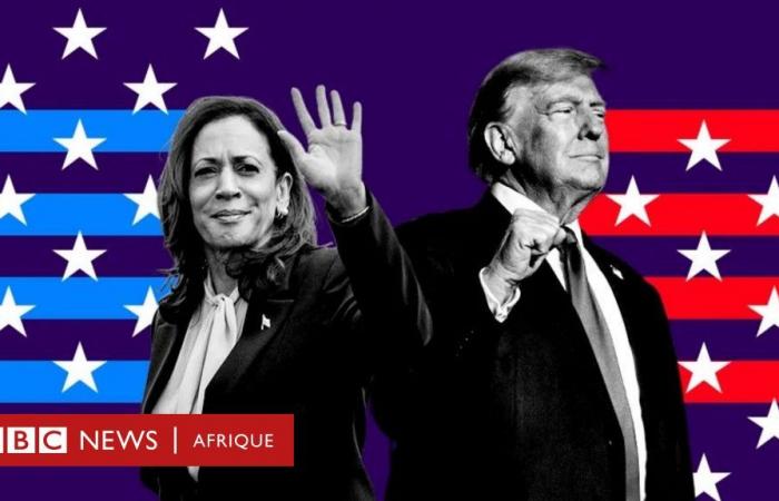 US Election Polls: Who’s Leading – Harris or Trump?