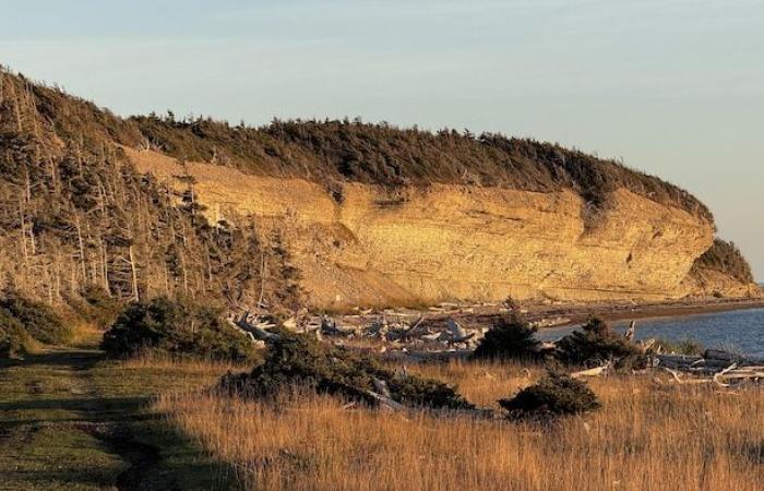 The oldest of Anticosti celebrates her 100th birthday