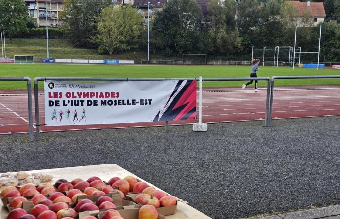 Sarreguemines: 165 students from the IUT of Moselle-Est compete during the 1st Olympics