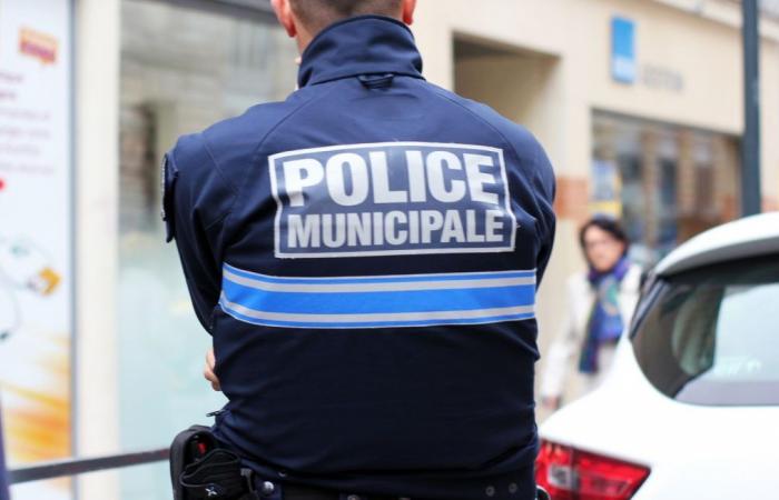 Three municipal police officers stop a motorist who was driving towards them in Yvelines