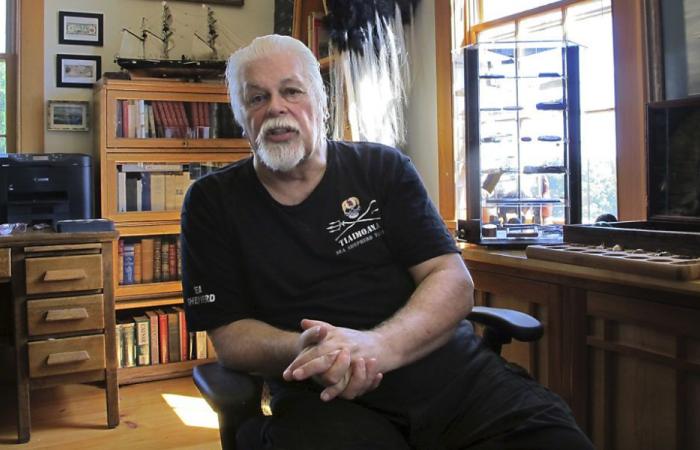 Greenland: environmental activist Paul Watson kept in detention