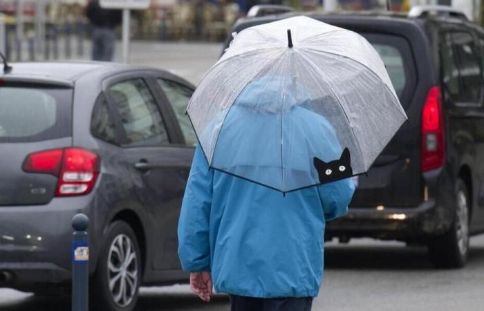 Rain and flooding: Southern Corsica placed on orange alert this Thursday