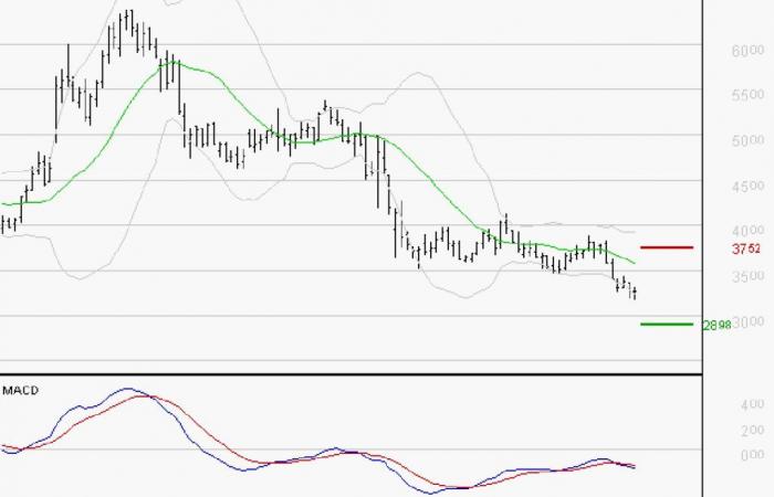 VIRIDIEN (ex CGG): The downward trend may resume – 02/10/2024 at 08:52