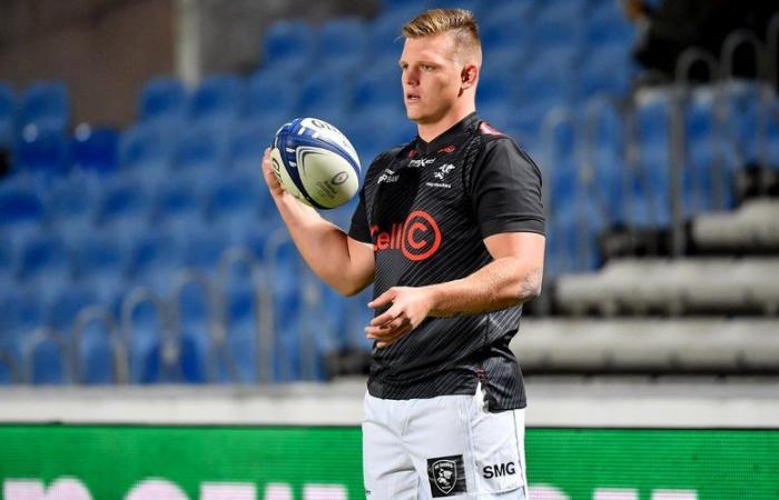 Transfers / Top 14 – Dan Jooste (Sharks) will arrive in Pau as a medical joker