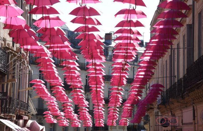 Pink October: “find cancer before it finds us” but one in two women still do not get screened in Occitanie