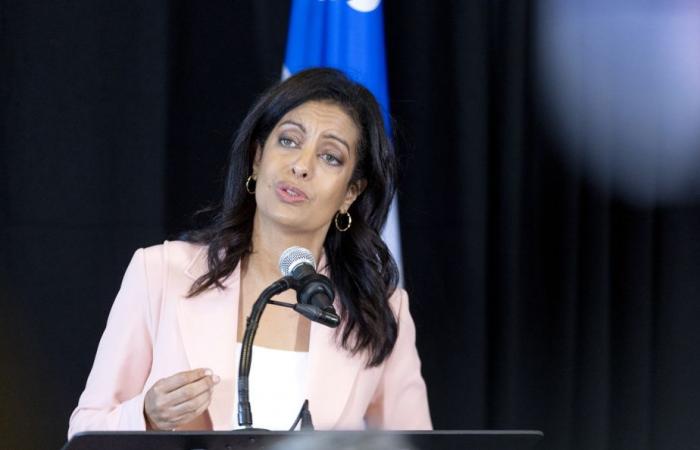 2025 elections | Opposition to Valérie Plante is taking shape