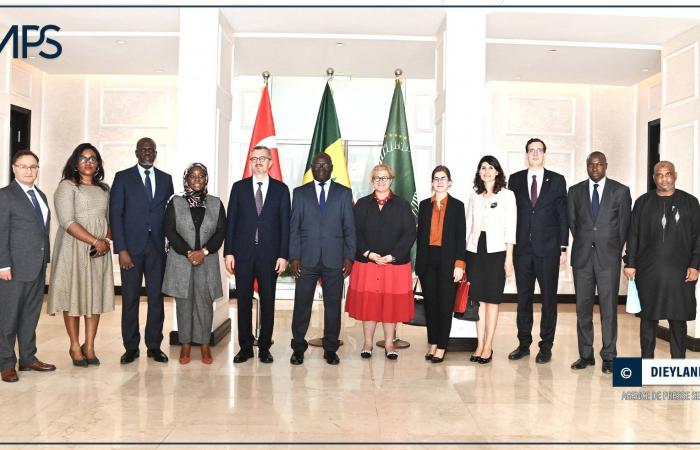 SENEGAL-TURKEY-COOPERATION / Trade between Dakar and Ankara increases from 42.5 billion in 2010 to 185 billion FCA in 2023 (official) – Senegalese press agency