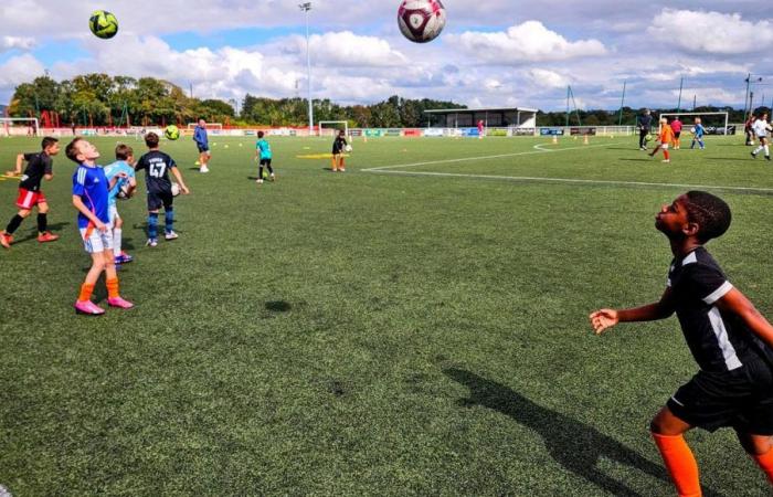 Champions League: against RB Salzburg, Stade Brestois gives wings to young Breton footballers