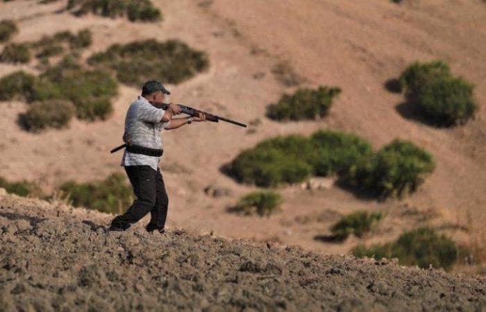 Nador: Hunting associations demand biometric licenses for the legal practice of hunting