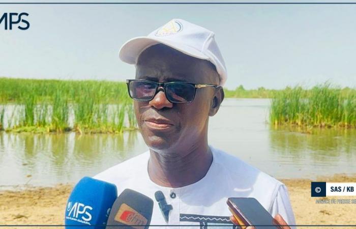 SENEGAL-AGRICULTURE-EQUIPEMENTS / Dagana: SAED announces a strengthening of agricultural equipment – Senegalese press agency