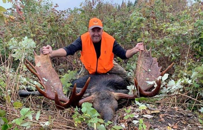 A record number of moose have been killed in NB