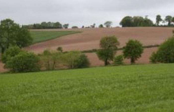 The price of agricultural land up 1.6% in France