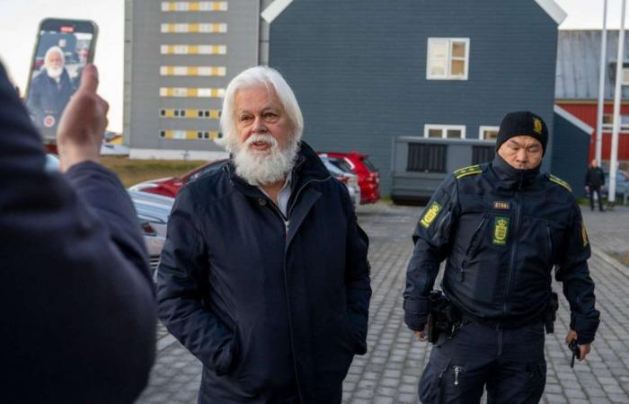 Whale defender Paul Watson remains in prison, ‘disproportionate’ extension, defenders say