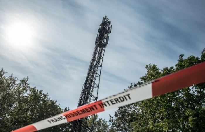 They stole 1.5 tons of copper from cell towers and were betrayed by… their phones