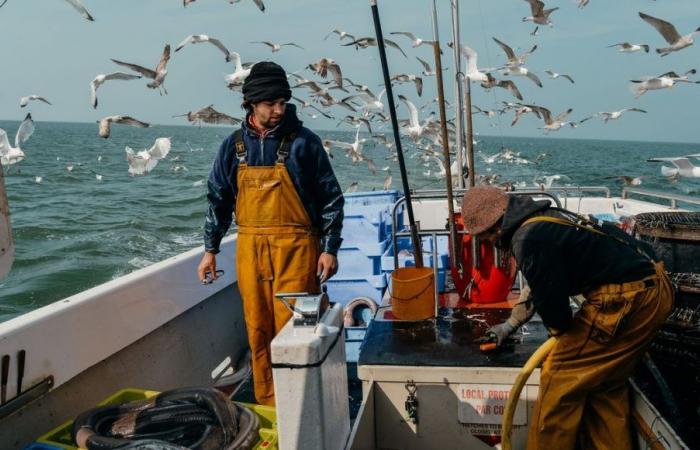 To the rescue of Poiscaille: sustainable fishing needs support