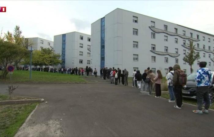 Gironde: edifying images of students queuing for three hours for food distribution