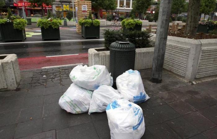 A Brussels municipality searches local residents’ trash bins to check their sorting