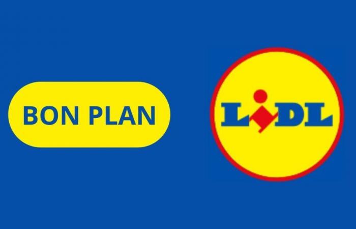 Lidl breaks the prices of these 2 products from the Parkside and Silvercrest ranges