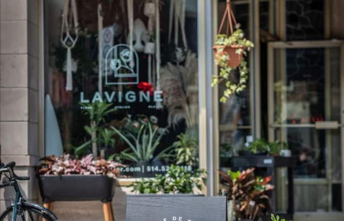 Lavigne Fleuriste takes root in a new address in the heart of a Market that you know well