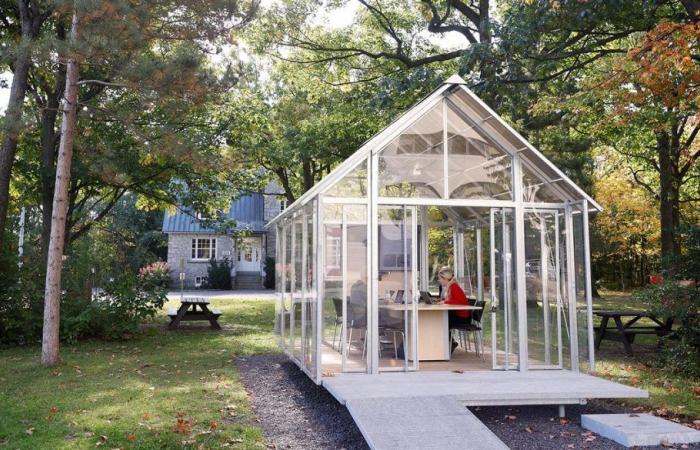 the University has a collaborative space in direct contact with nature