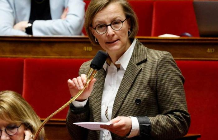 uncomfortable with support for Michel Barnier, MP Stella Dupont leaves the Macronist group – Libération