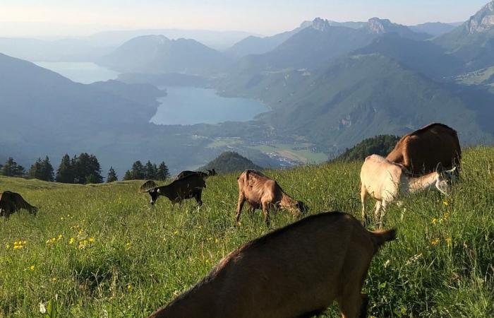 Leisure: what to do this weekend in Haute-Savoie (October 5 and 6, 2024)?