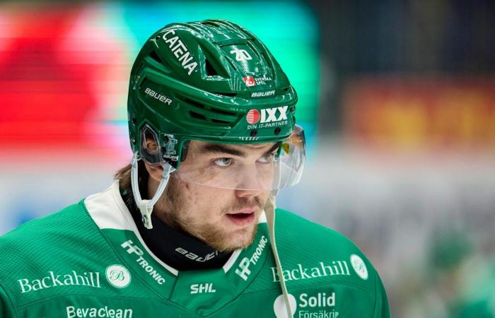 Hockey: What we expect from the Swiss in the NHL