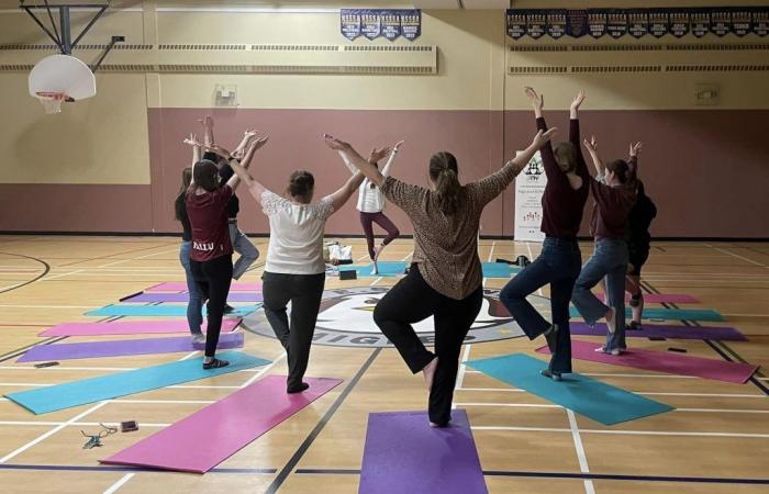 Yoga is on the rise in Toronto schools