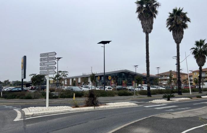 Near Perpignan, a new DIY store will open next to this supermarket