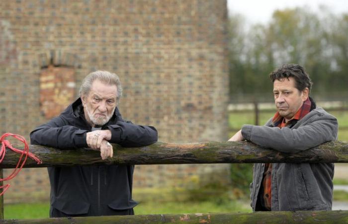 TV audiences: Eddy Mitchell and Laurent Gerra are a hit on France 2