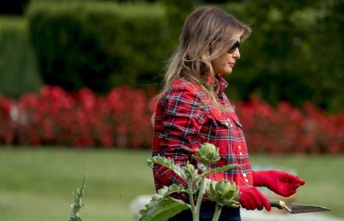 But who is Melania Trump? “She is much more like her husband than she seems”