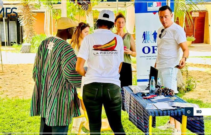 SENEGAL-FRANCE-CULTURE / Saint-Louis: French Volunteer Day celebrated at the French Institute – Senegalese Press Agency